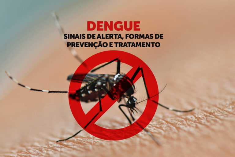 Dengue: Seis estados concentram 84% dos casos registrados no Brasil