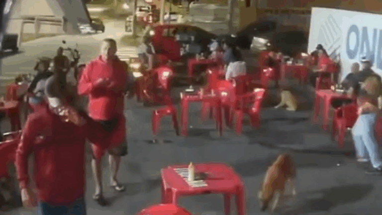 Pedreiro mata motorista após briga em bar de Contagem por causa de música de ‘corno’ de Marília Mendonça