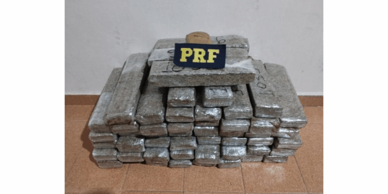 PRF apreende mais de 50 kg de maconha na BR-251, em Salinas