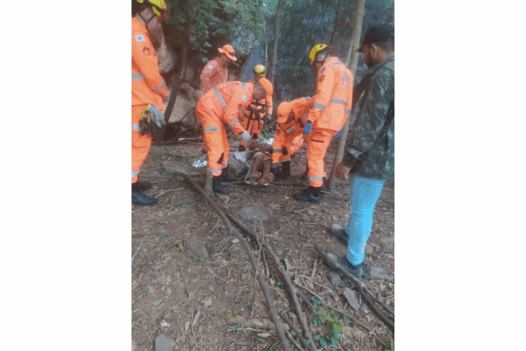 Homem desaparecido em mata é localizado após dois dias de buscas no Distrito de Nova Esperança