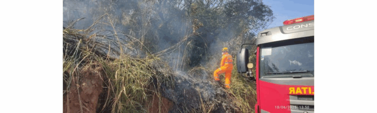 Bombeiros controlam incêndio em vegetação às margens da BR-251 em Salinas