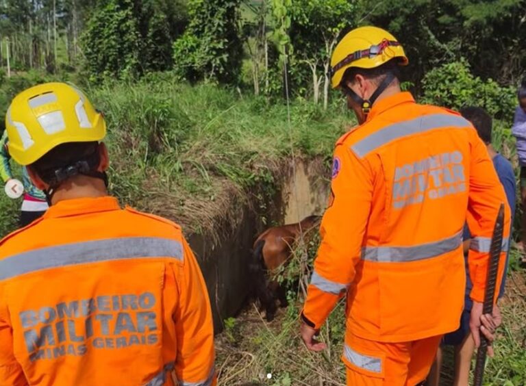 Bombeiros do 6º Pelotão resgatam cavalo em situação de risco em Itabira