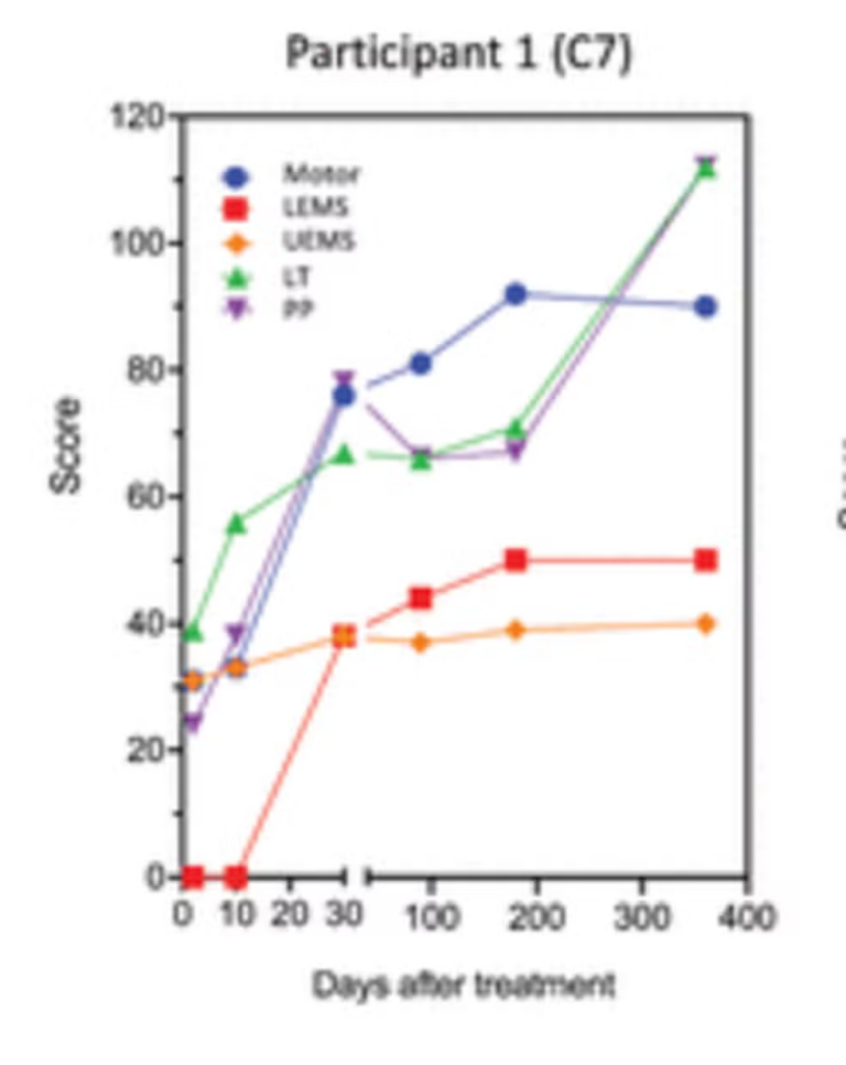 Entre a Cura e o Rigor: O Embate Científico por Trás da Polilaminina