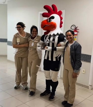 Galo Doido no HNSD (2)